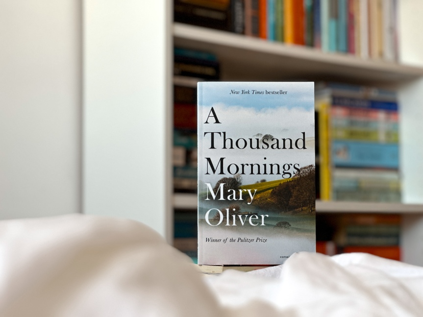 A Thousand Mornings by Mary Oliver | Book Review